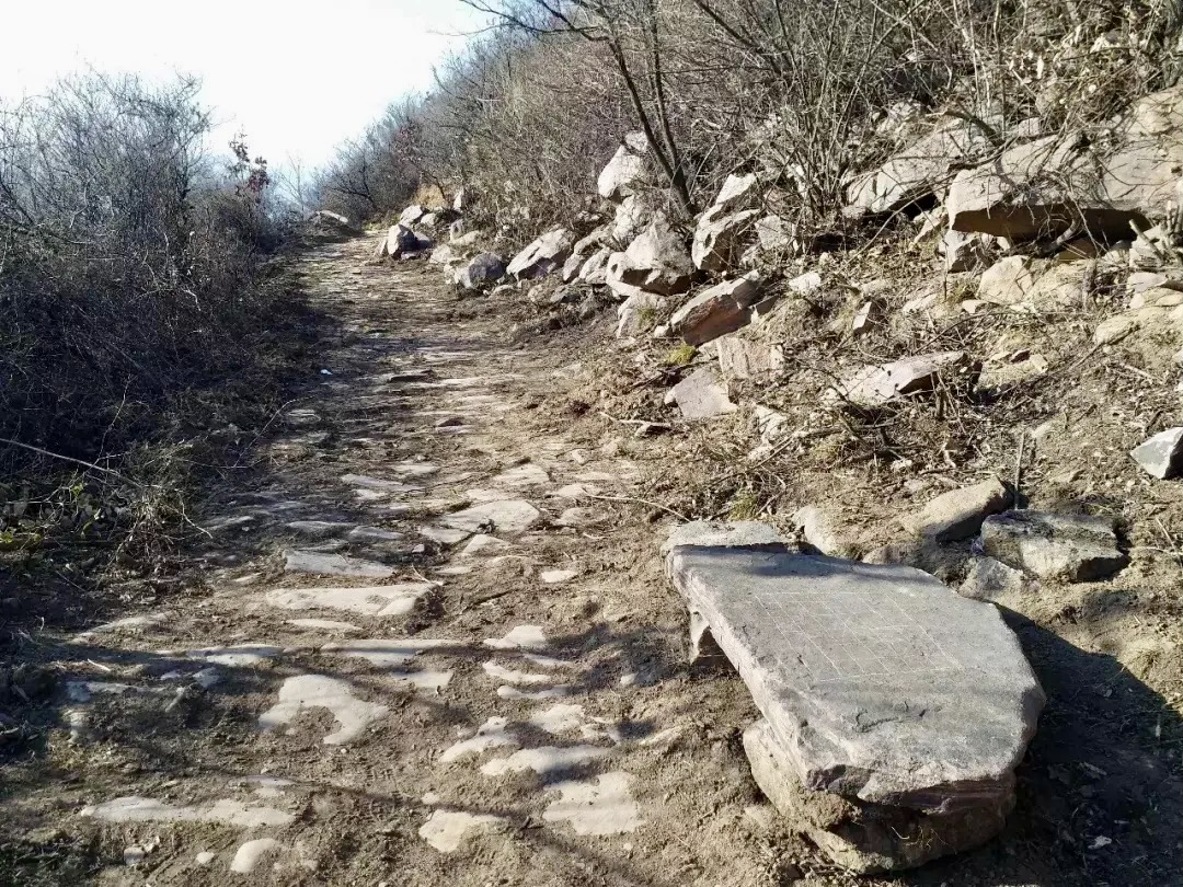 图片6.png 图片6.png