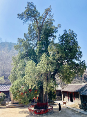 图片的14.png 图片的14.png